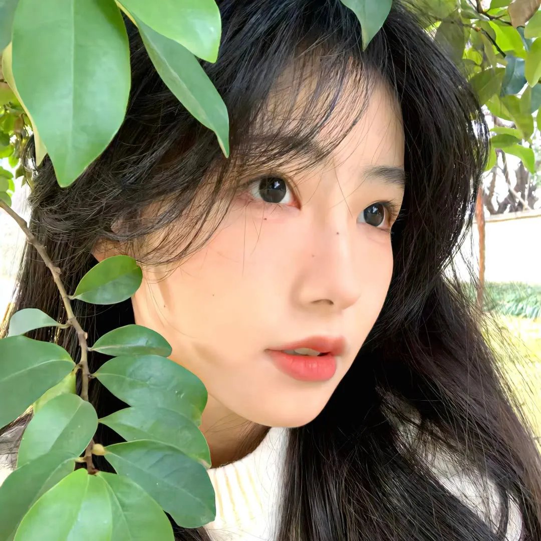 女仆琳恩